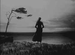 tumblr_nhezdnMILh1tfyseno1_250