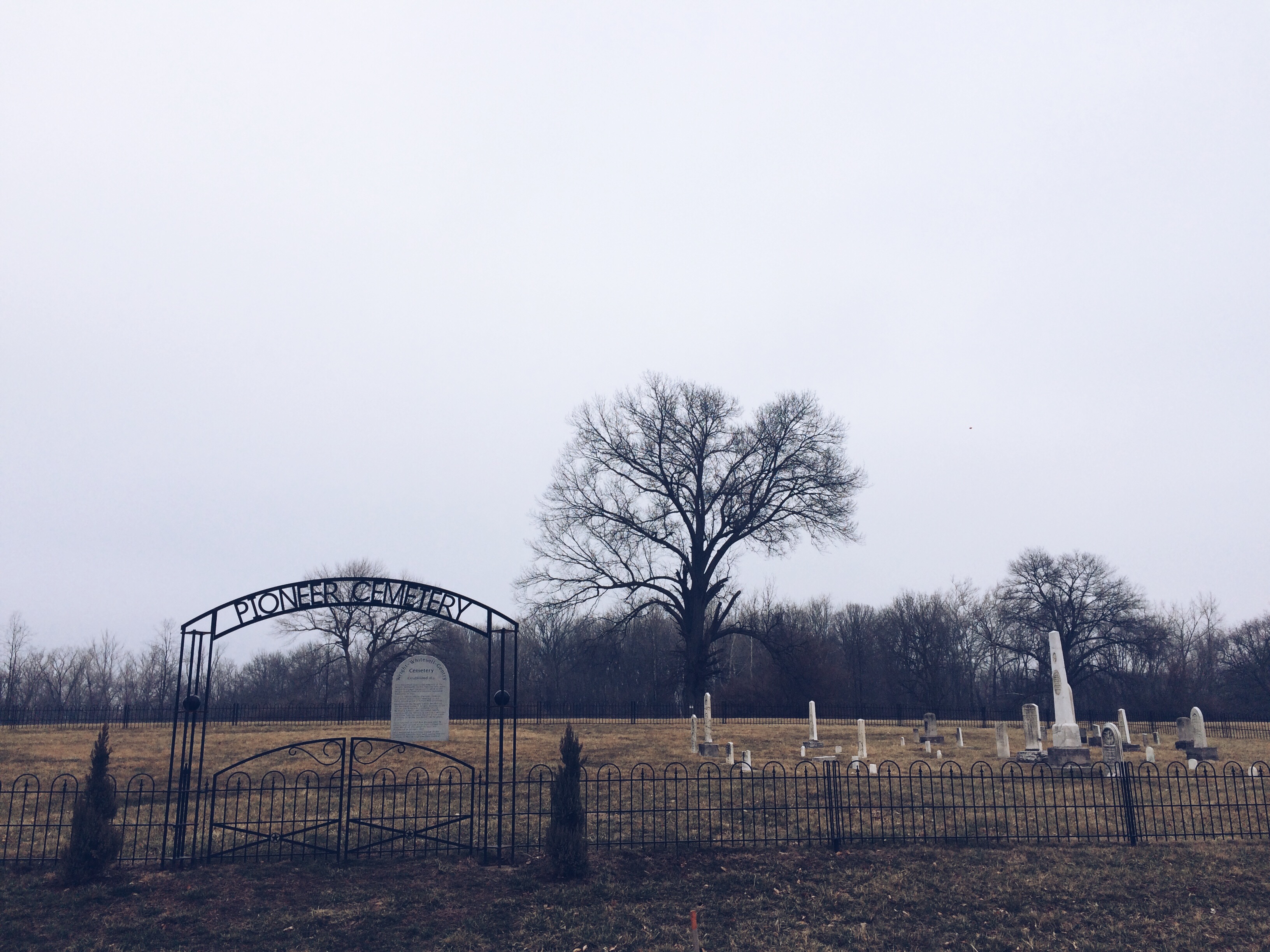 Processed with VSCOcam with a5 preset