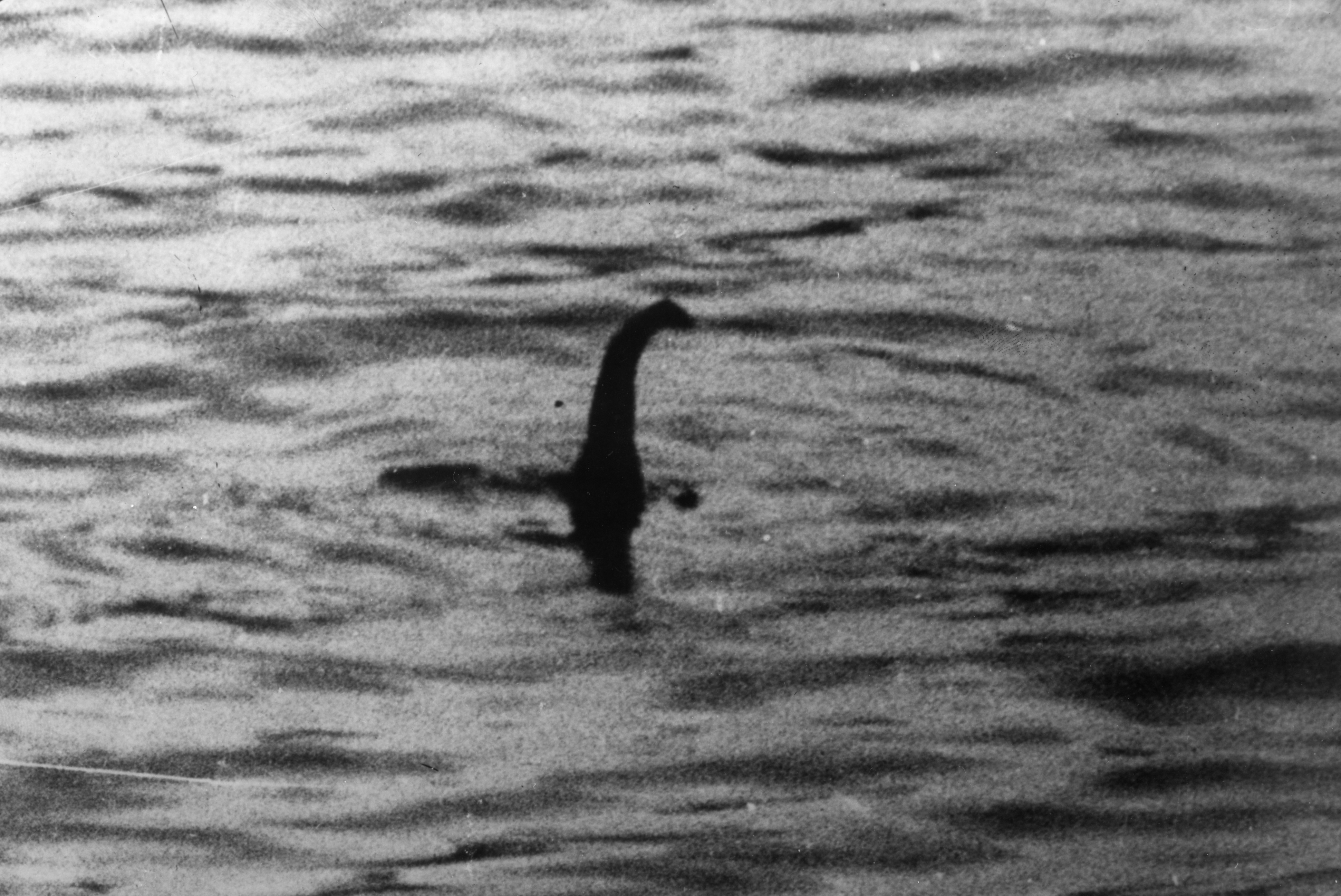 The Loch Ness Monster  PICTURE TAKEN IN 1934 OF THE LOCH NESS MO