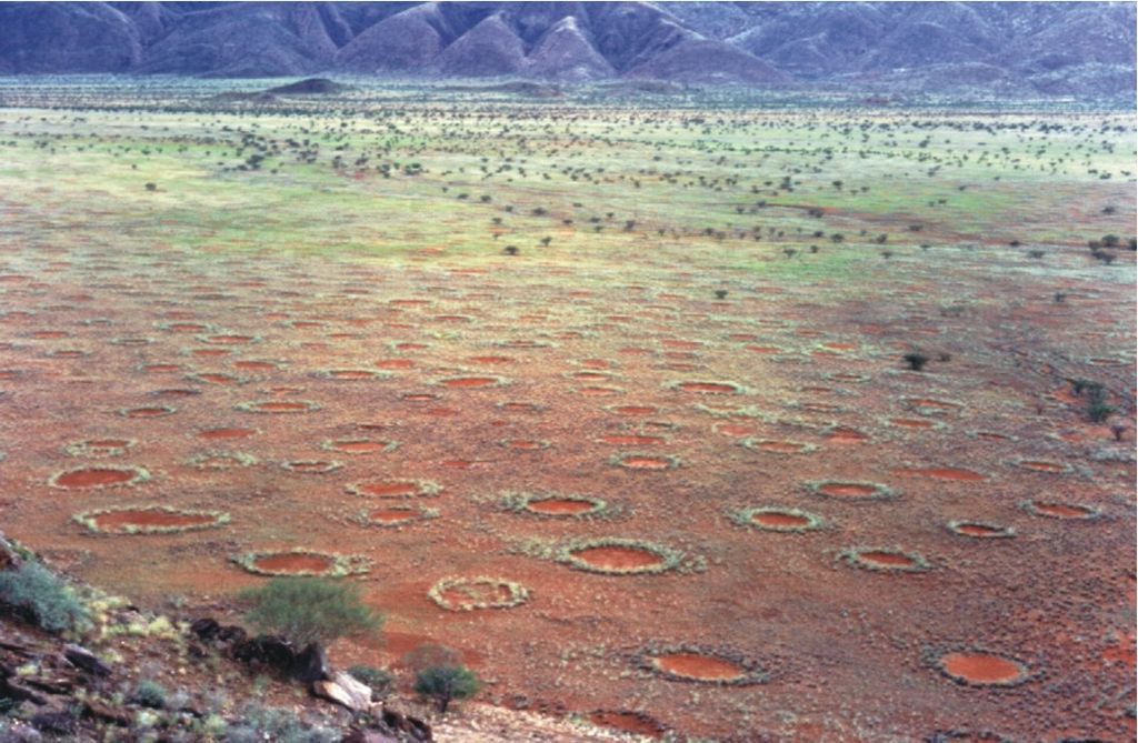 1024px-Fairy_circles_namibia
