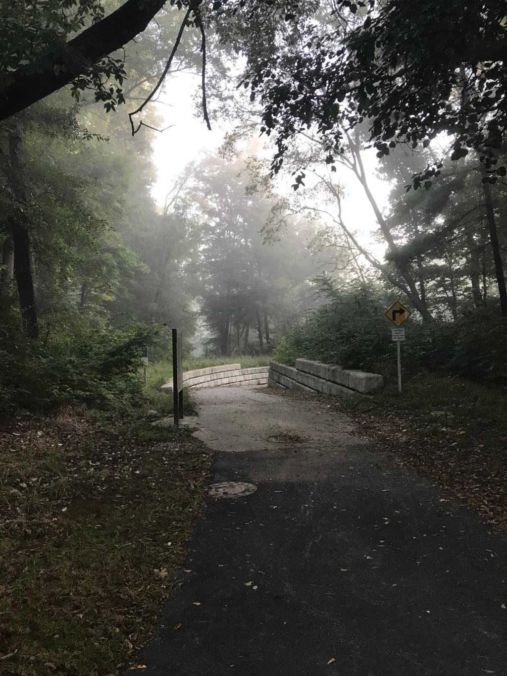 The Hermit of Happy Hollow