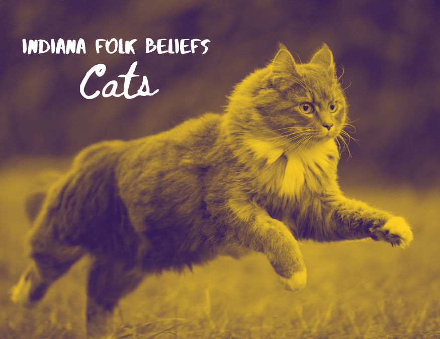Indiana Folk Beliefs:&nbsp;Cats